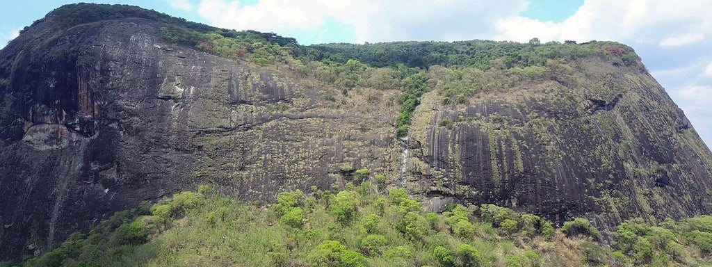 Monte Lico’s rainforest ‘lost world’