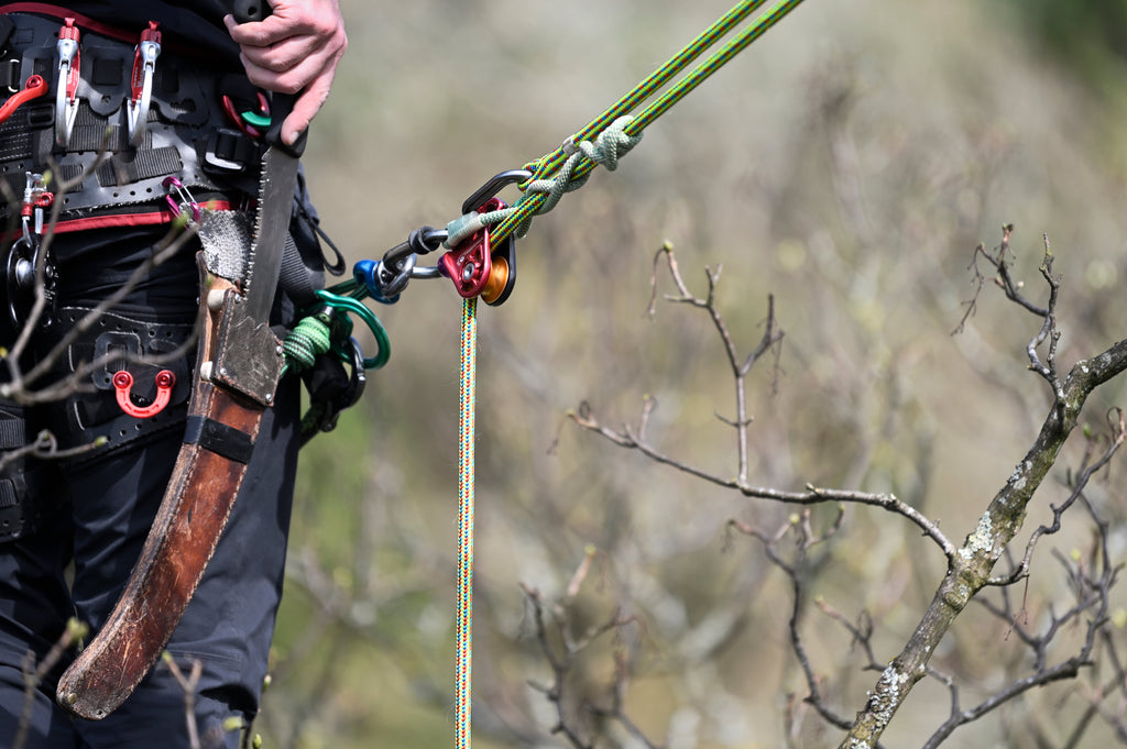 Tree Care