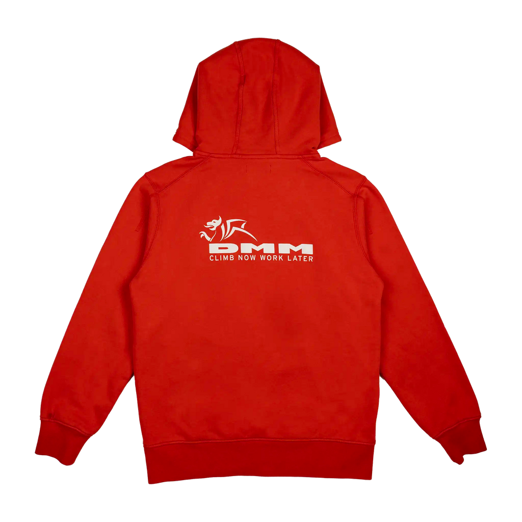 logo and slogan hoody in forged iron colour unisex